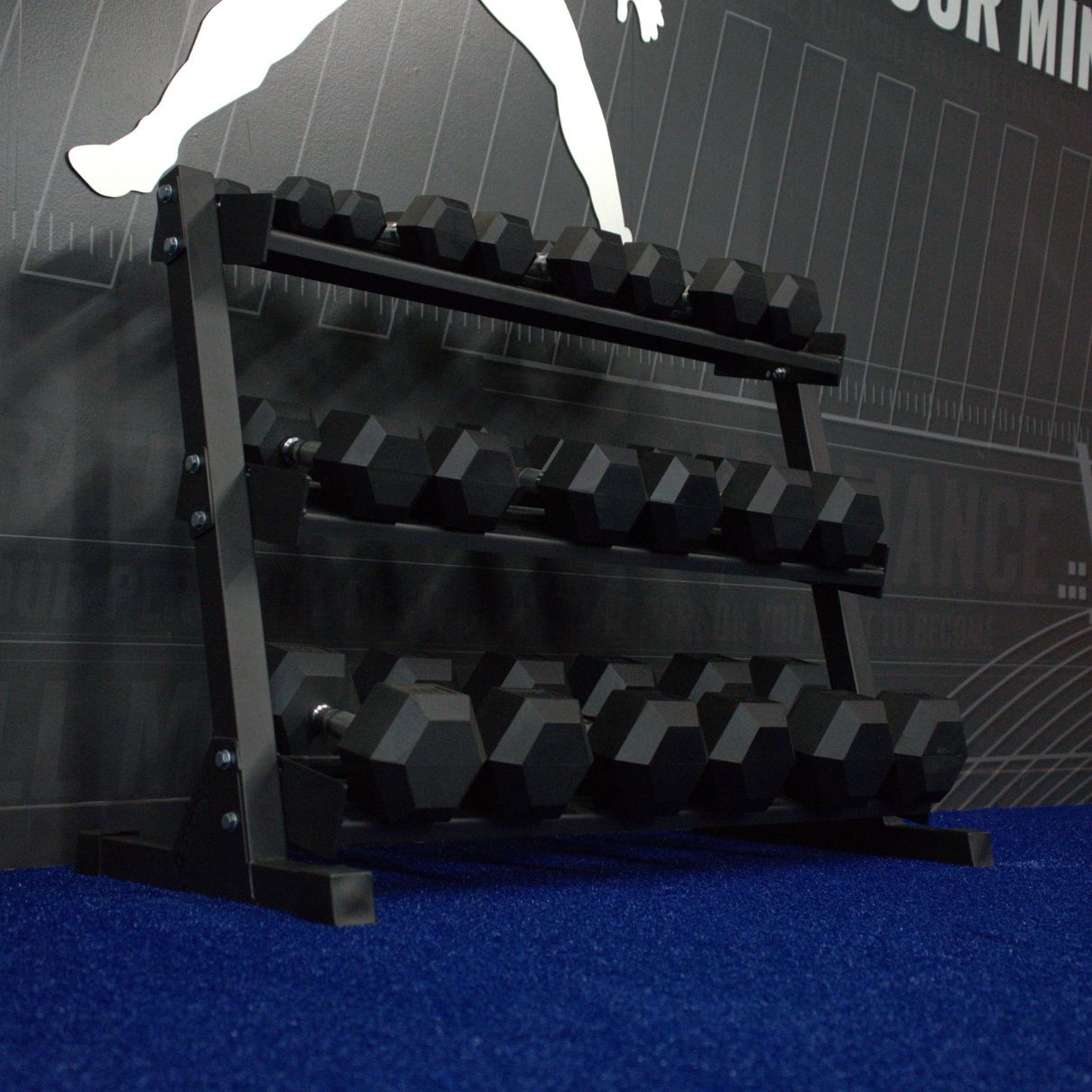 5-50 lb Dumbbell Set with 3-Tier Rack