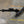 XPX Landmine Option